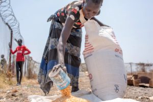 South Sudan emergency support