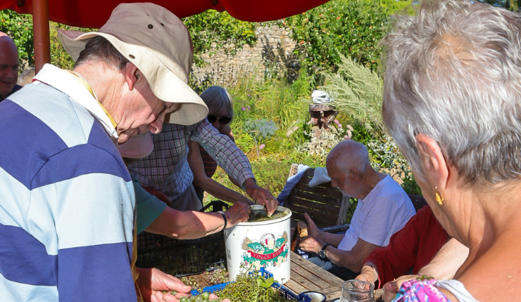 people looking at frogs in frome