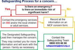 safeguarding roadmap